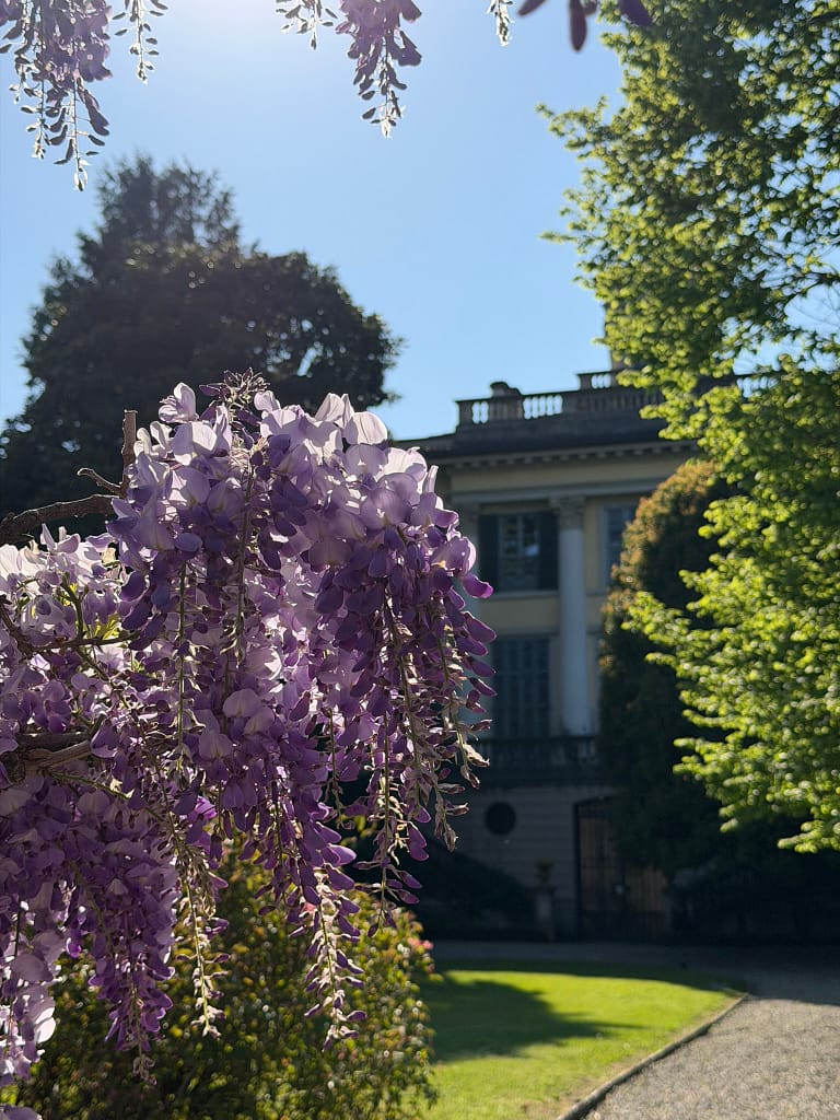 A view of the wisteria-lined walking path in Como city with a historic Italian villa and mountains in the background, April 2026.